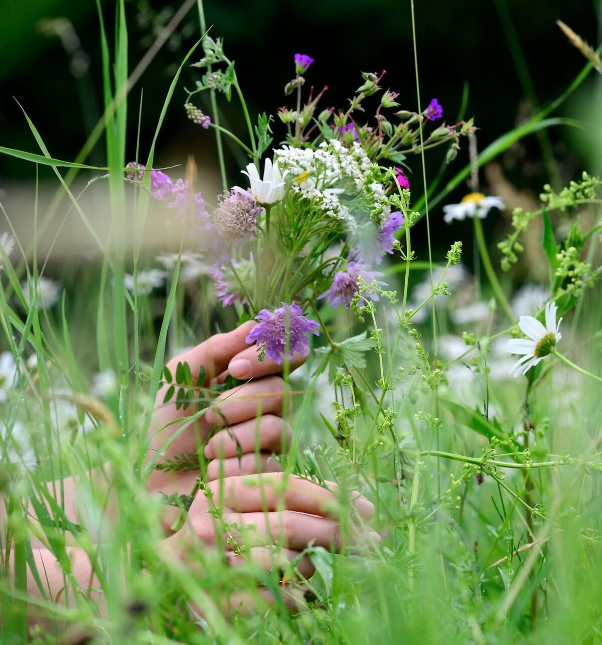 Eine Hand hält einen Strauß aus bunten Wildblumen, umgeben von hohem Gras und weiteren Blumen im Hintergrund. Die Szene vermittelt einen Eindruck von Natur und Frische.