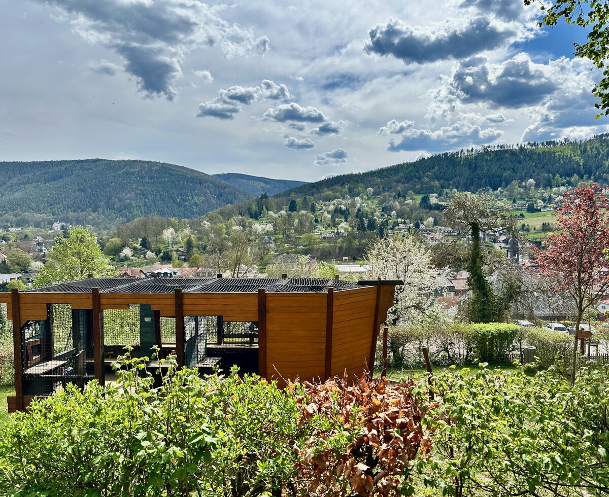 Blick auf eine malerische Landschaft mit einem Holzpavillon im Vordergrund. Im Hintergrund sind sanfte Hügel und eine kleine Stadt zu sehen, umgeben von Bäumen und blühenden Pflanzen unter einem bewölkten Himmel.
